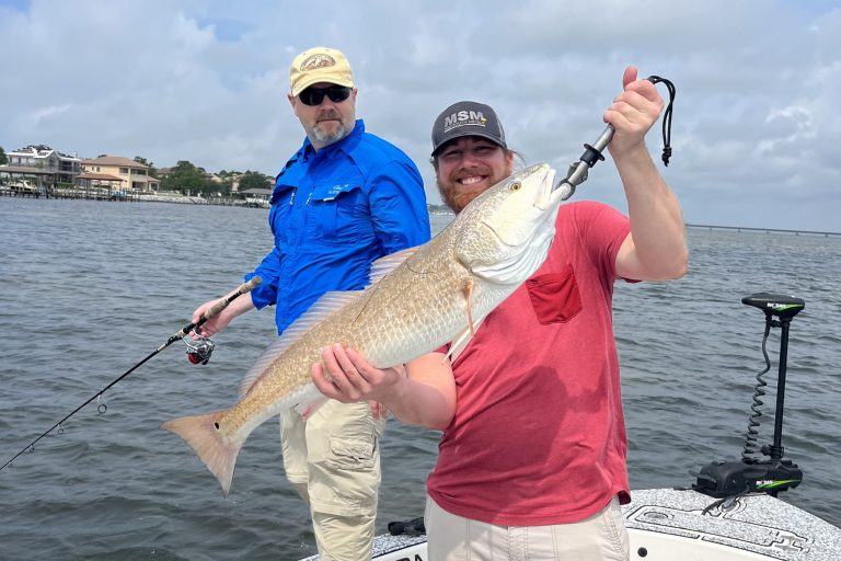 Destin Redfish